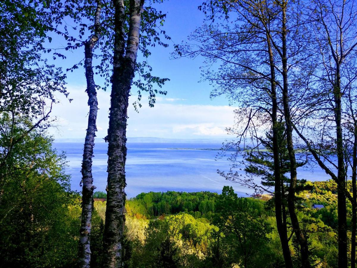 Auberge De La Rive De Charlevoix - Auberge De Jeunesse Familiale Pour Voyageurs De Tous Ages Saint-Joseph-de-la-Rive Dış mekan fotoğraf